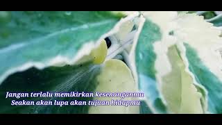 story wa , Tujuan hidup