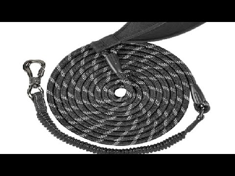 Video: Chain Leashes koertele