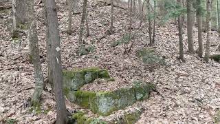 Went back to Marlborough NH remains, posted No Trespassing, will try to get permission
