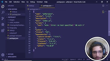Node.js Capture Chrome Library to Take Screenshots of Website Using Google Chrome