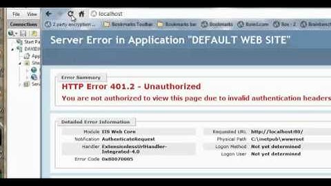 Fis IIS 401.2 Errors