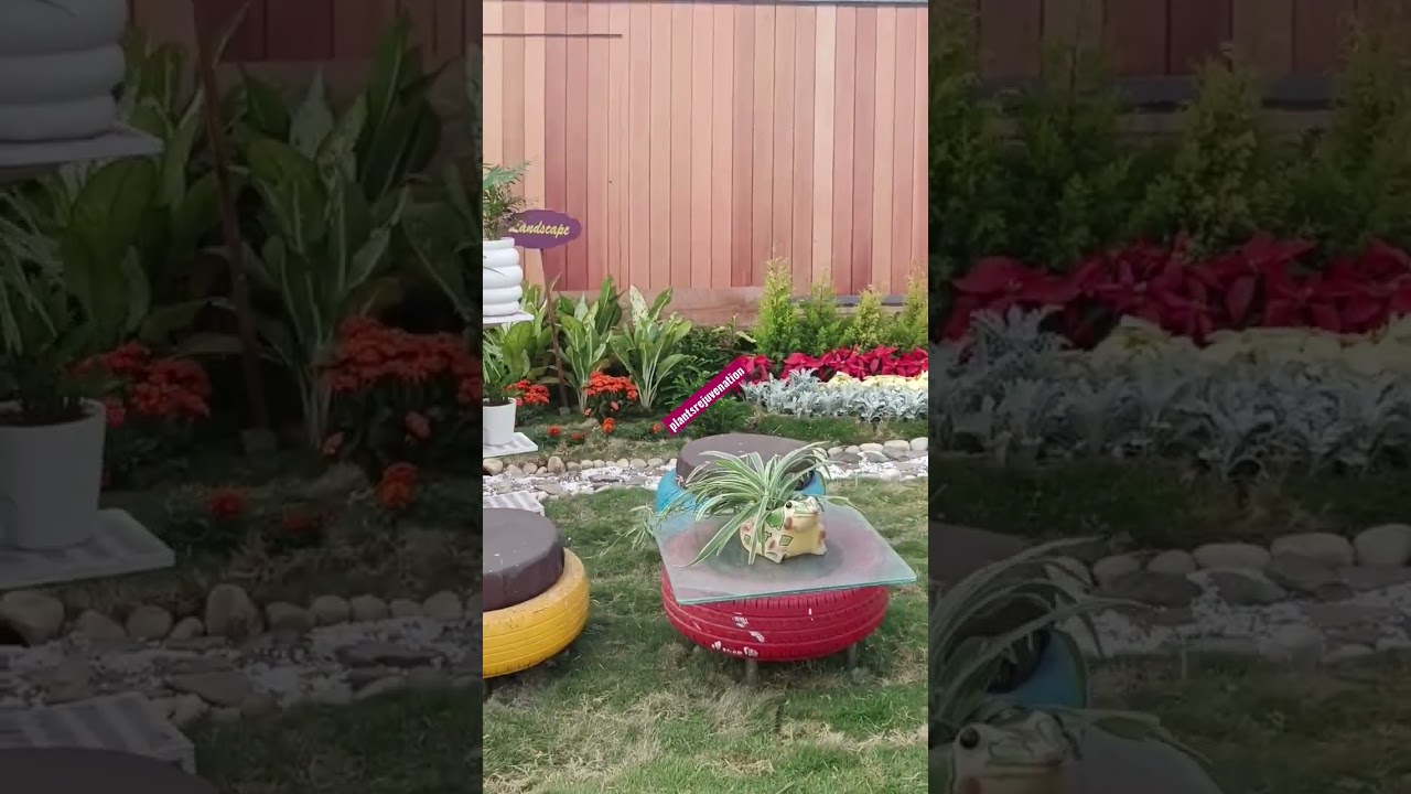 Idea for terrace Gardening --a small demonstration