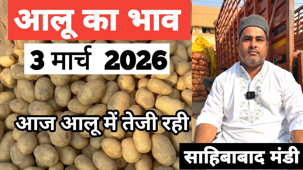 3 March 2026 🥔 आलू का भाव साहिबाबाद मंडी ।। Today Potato Rate in Sahibabad Mandi || Bharat ke Bazar