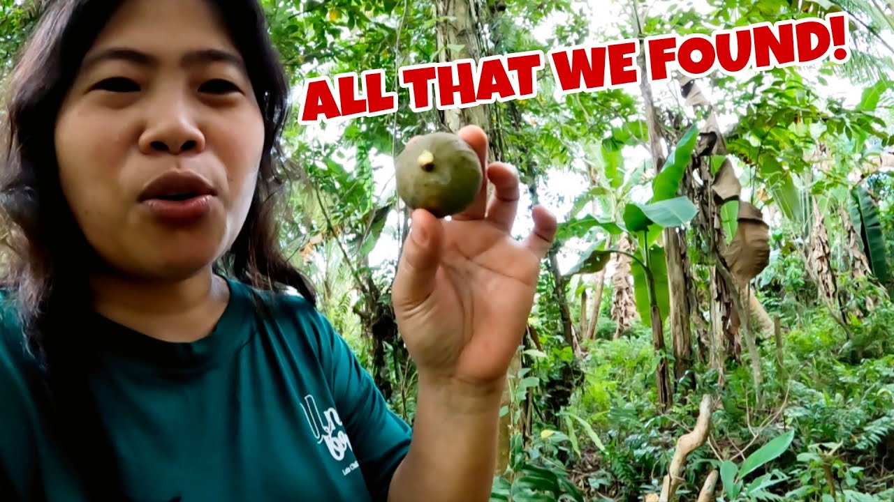 What We Found On Our Trip To The Jungle! | Province Lifestyle!