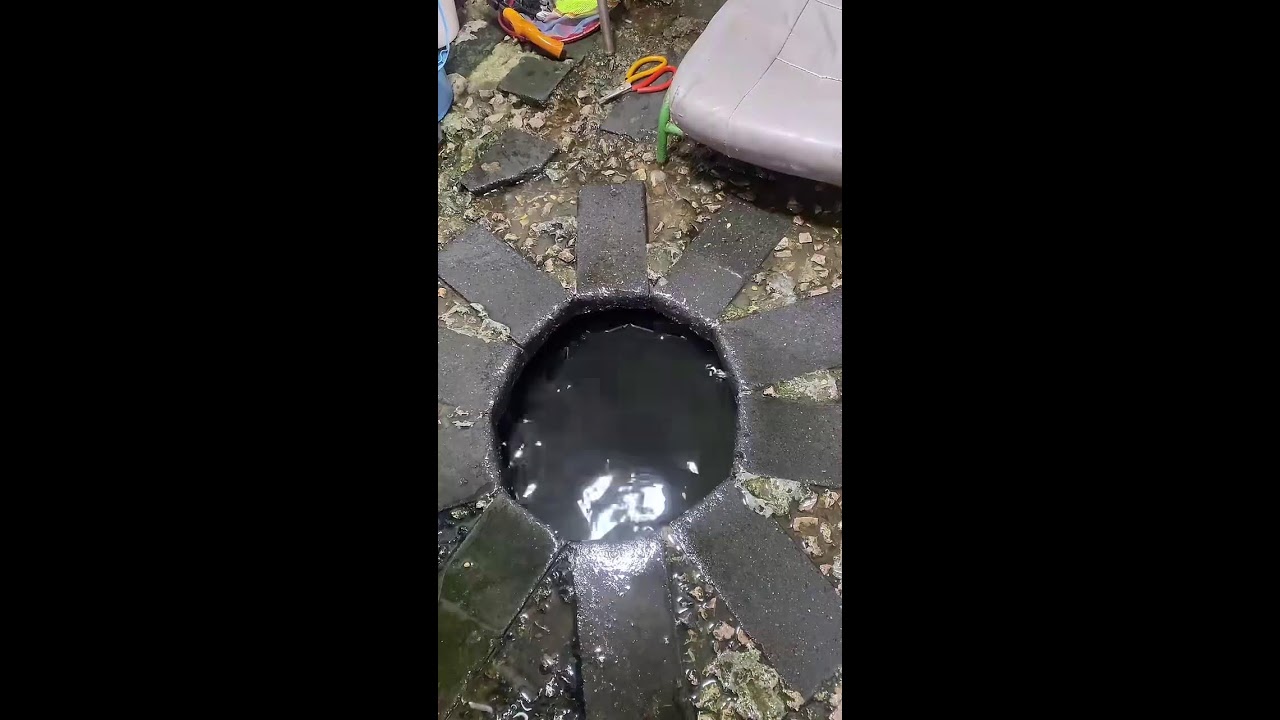 ☣️ Deep Sea Diving for Fresh Seafood – Lobster, Crab, and Fish Hunt