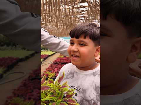 ادم تعرف على محمد حران صديق البيئة شاهد الفيديو #اكسبلور #نباتي