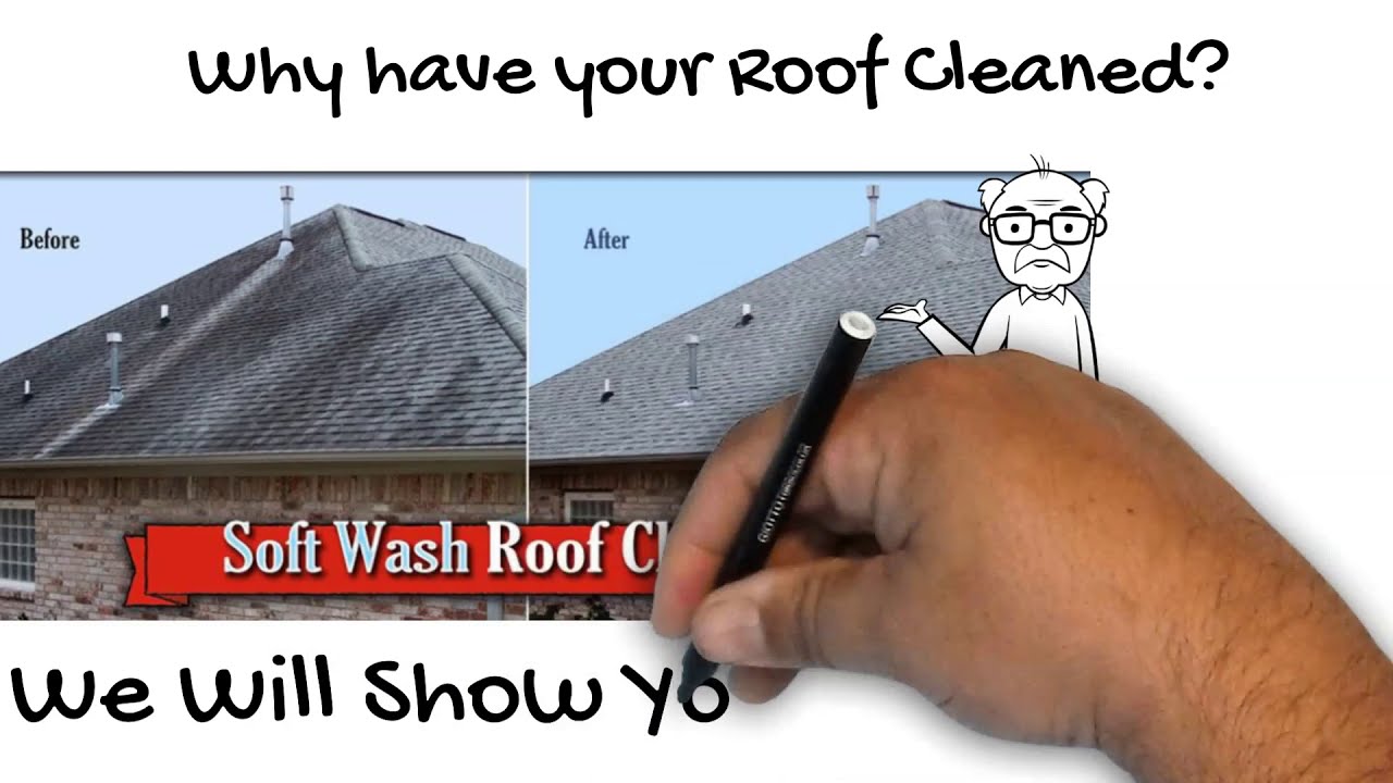 Why Soft Wash Your Roof YouTube