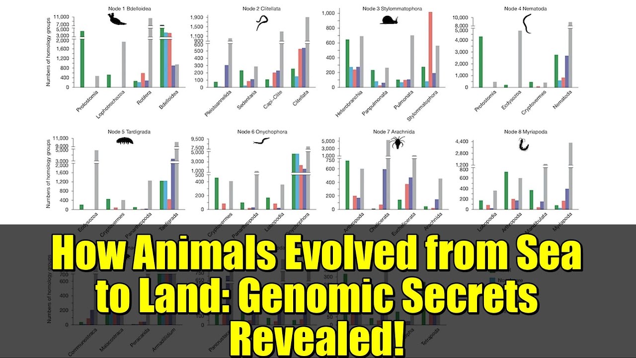 How Animals Evolved from Sea to Land: Genomic Secrets Revealed!