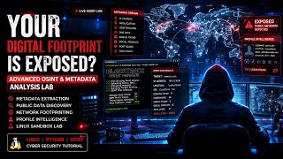 How Security Analysts Track Public Digital Footprints 🔍