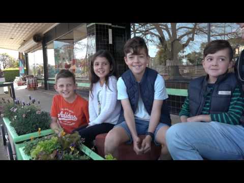 Belmore Terrace Place Making Project