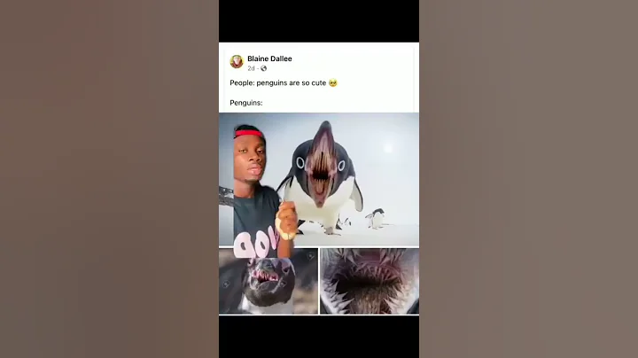 Why Do Penguin Mouths Look Like That??