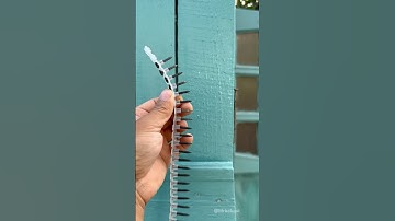 The most extraordinary wood fastening method in the world