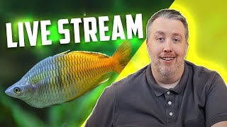 2025 Aquarium Goals Live