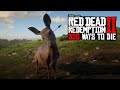 500 Ways To Die in Red Dead Redemption 2 (PART 6)