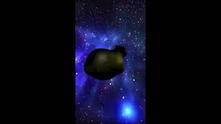 Uiia Cat Spinning After Dark