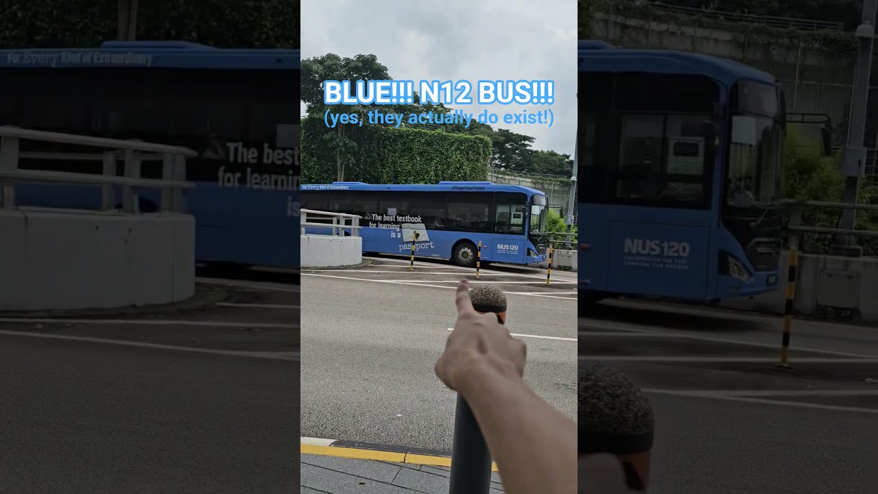 BLUE!!! Zhongtong N12 BUS!!! 