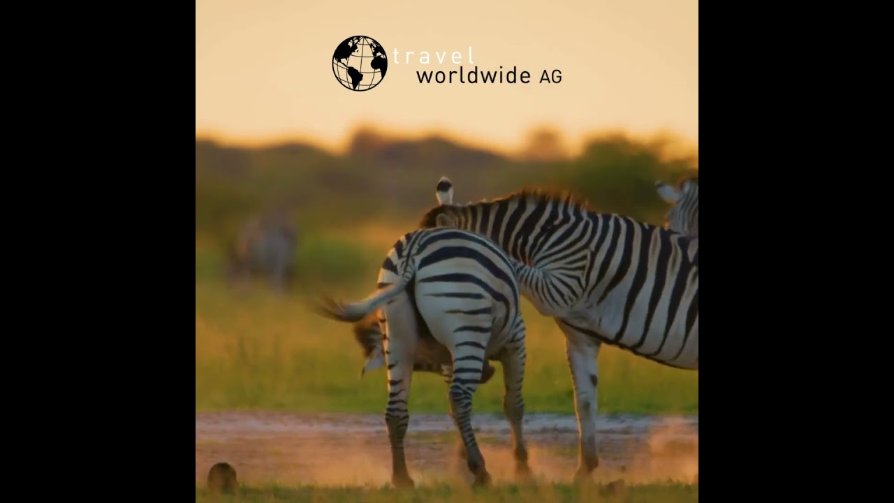 travel worldwide - Afrika Reisen mit dem Schweizer Reisespezialisen