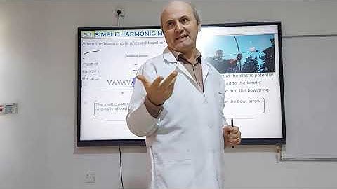SIMPLE HARMONIC MOTION  | CHAPTER 3, SECTION 1 | REVISION (2023)