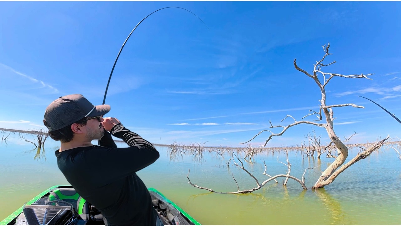 Pescando árboles en la presa EL CUCHILLO