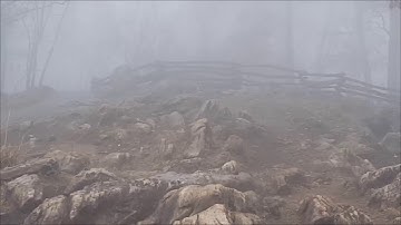 Mist vs. Fog