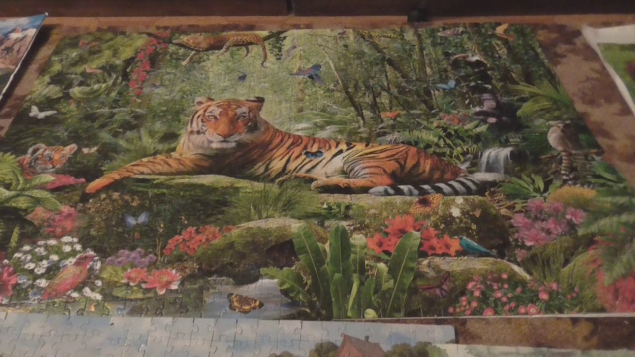 5 ways to glue puzzles: pros and cons
