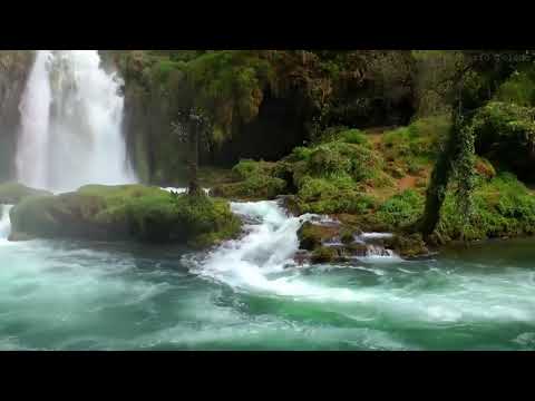 Βίντεο: Από τους ήχους της φύσης;