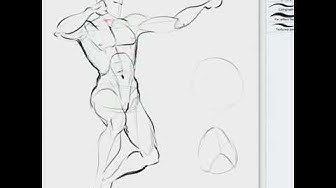 Featured image of post Figurosity Muscle