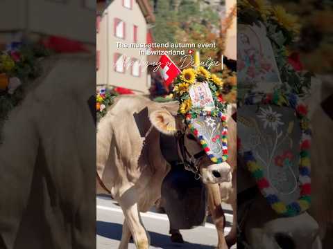Short video