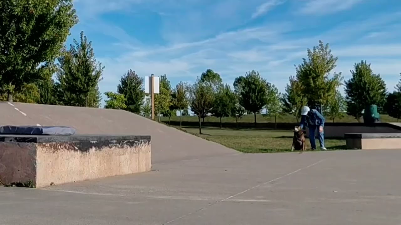 my dog makes friends with autistic girl at skatepark