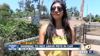 Warning to not leave pets in car