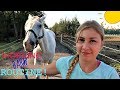 MY MORNING ROUTINE AT THE BARN Day 214 (08/03/17)