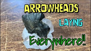 Native Artifacts ! (Evidence Crystal Arrowheads) | Arkansas 2020