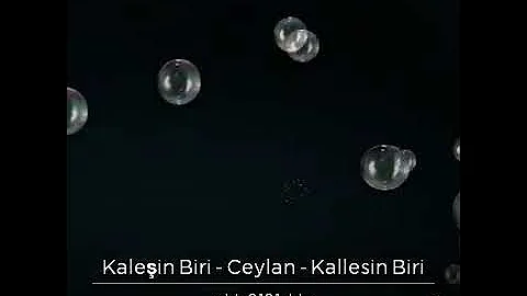 Ceylan KALLESIN BiriFatma yildiz