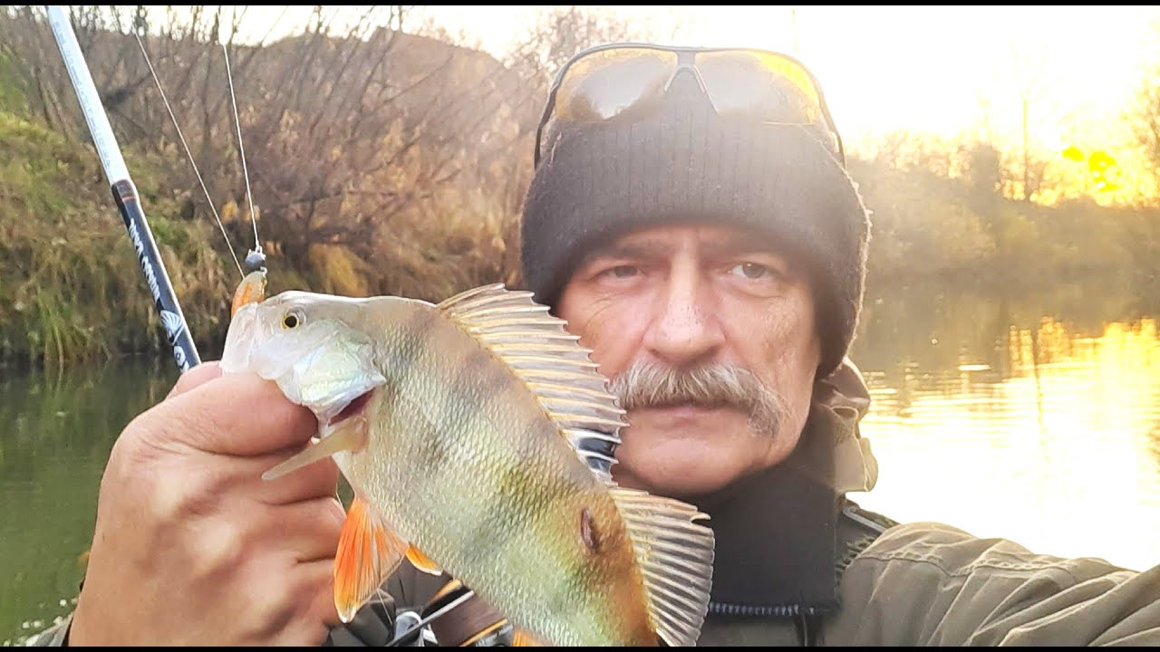 МИКРУХА, ОКУНЬ, КРАСОТА  05 10 2024