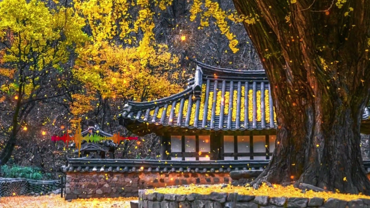 🍳🎧 우리가 좋아하는 아름다운  연주곡,  힐링  1시간 - 4K  | #앤더송 | #ats