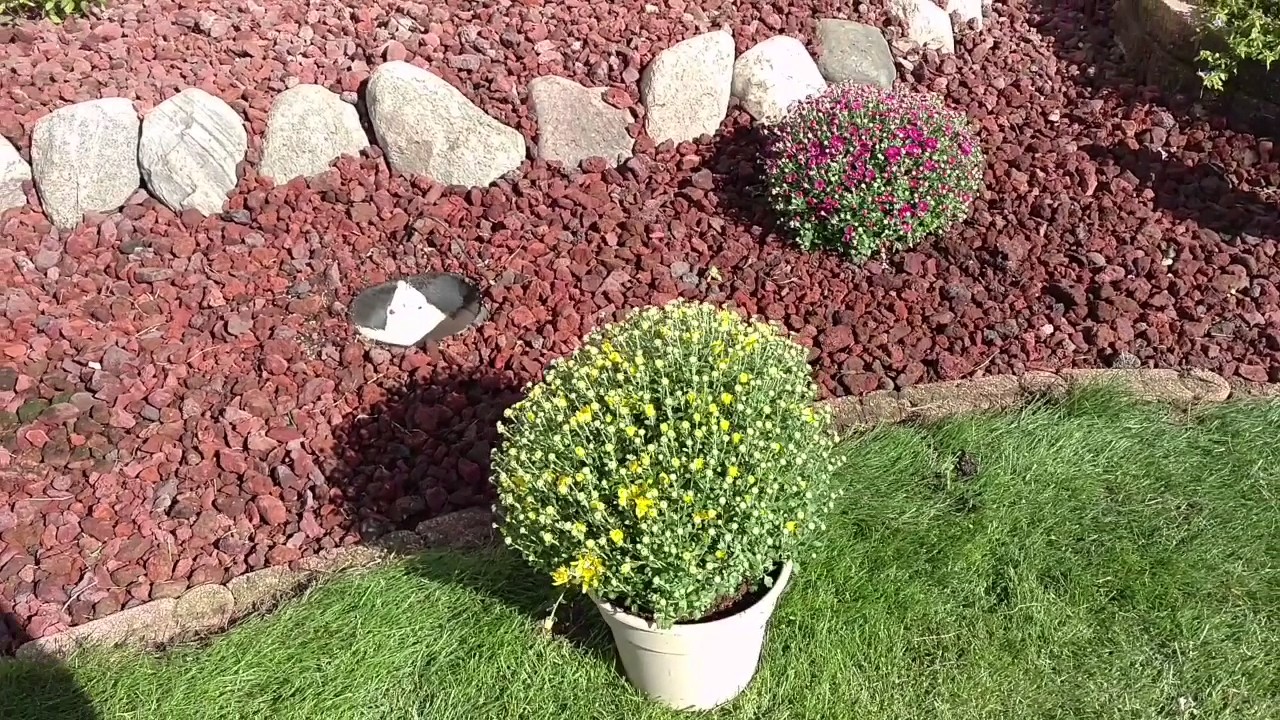 EASY FALL TRANSFORMATION OF THE LANDSCAPE