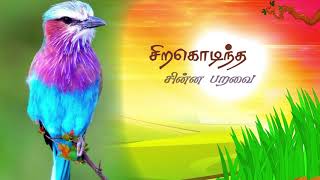 Serguondintha Chinna Paravai By Dr Julia