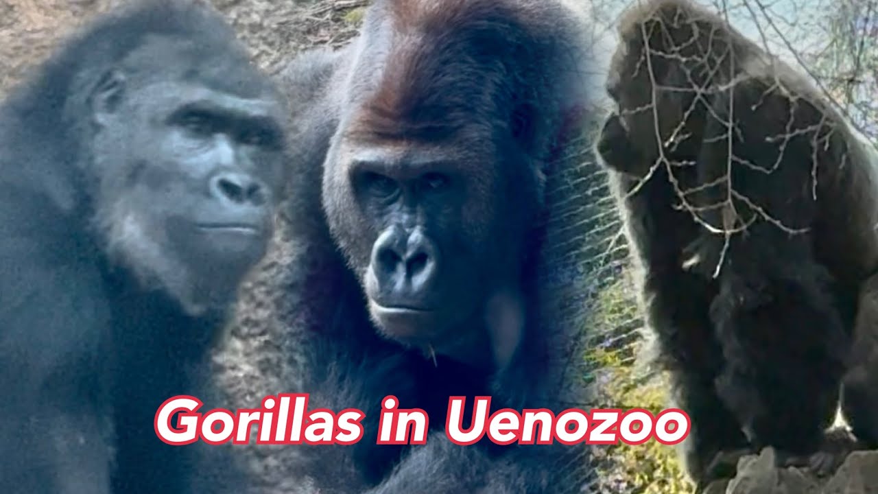 アニーが出てきてくれた❣️