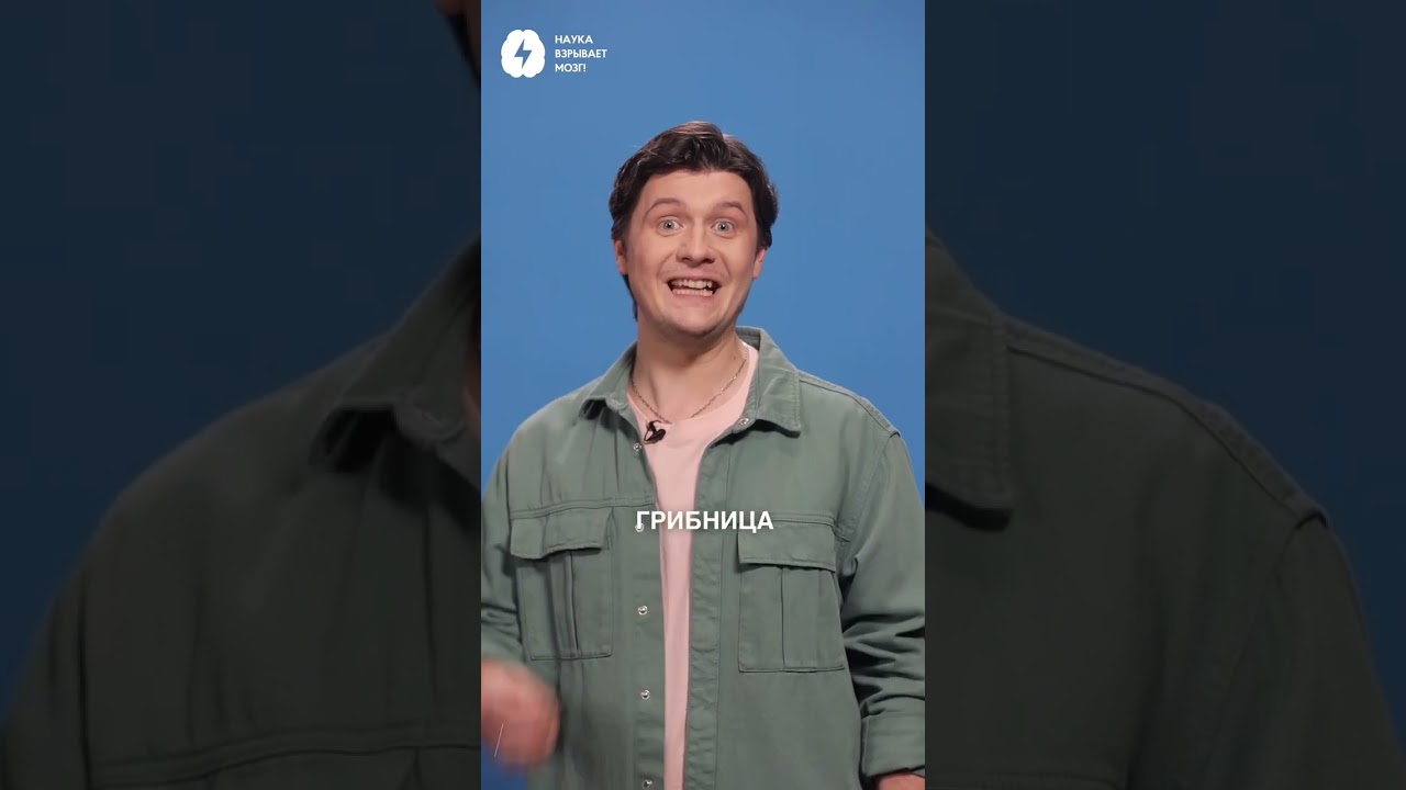 Нас окружают грибы 😟