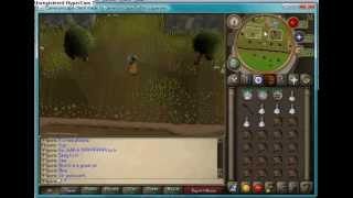 pking server 508 silab