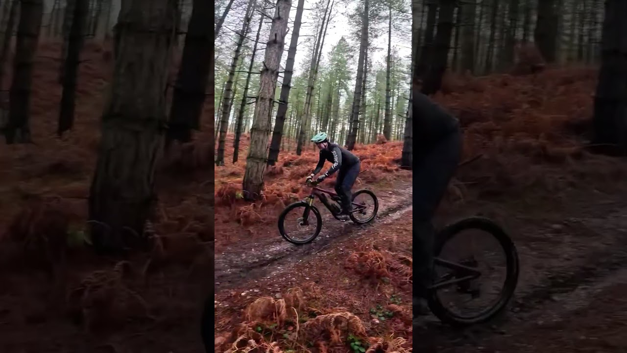 VOODOO MAGIC IN THE WOODS