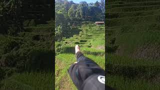 Serpihan Surga Di Kampung Terpencil Di Ciawi