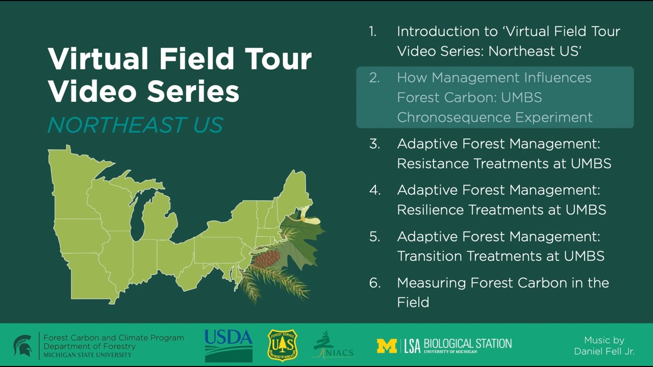 How Management Influences Forest Carbon: Chronosequence Experiment