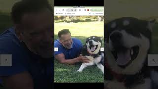 React Interview Challenge, Image Carousel #react #reactproject #viral #shorts #frontend #react