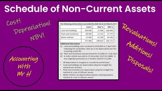 Schedule of Non-Current Assets