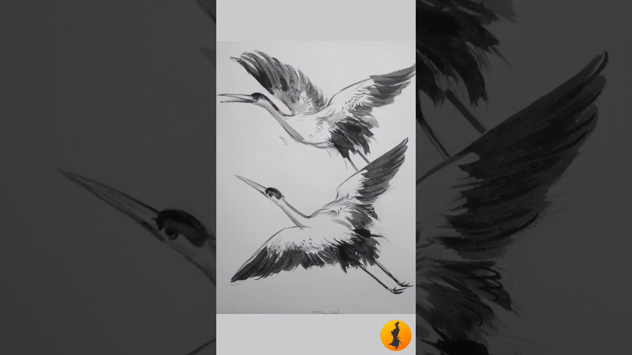 Japanese cranes #shorts