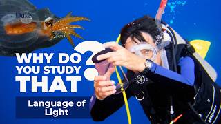 What Are Deep-Sea Animals Saying? | Why Do You Study That?