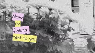 Flowbi  Falling Nexttoyou  