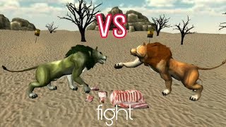 Lion vs Lion fight Happy toys TV download now animals fight app screenshot 1