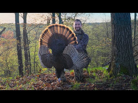 Public Land Turkey Hunt | Another Hunter Crawled In!!